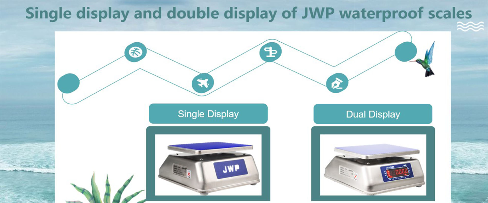 Один дисплей и двойной дисплей водонепроницаемых весов JWP
