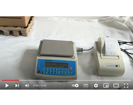 Jadever SKY-C счетные весы для печати этикеток с помощью NLP-принтера
